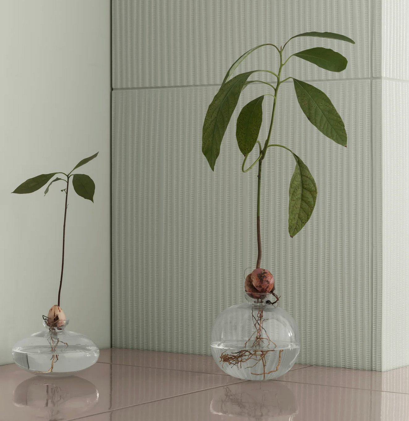 vase avo taille S en verre, BLOMUS